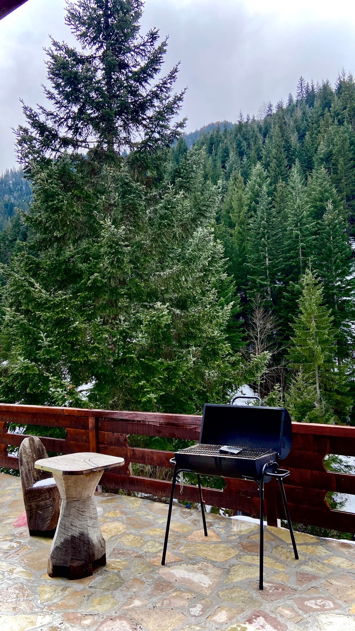 Evergreen Tiny Homes photo 4