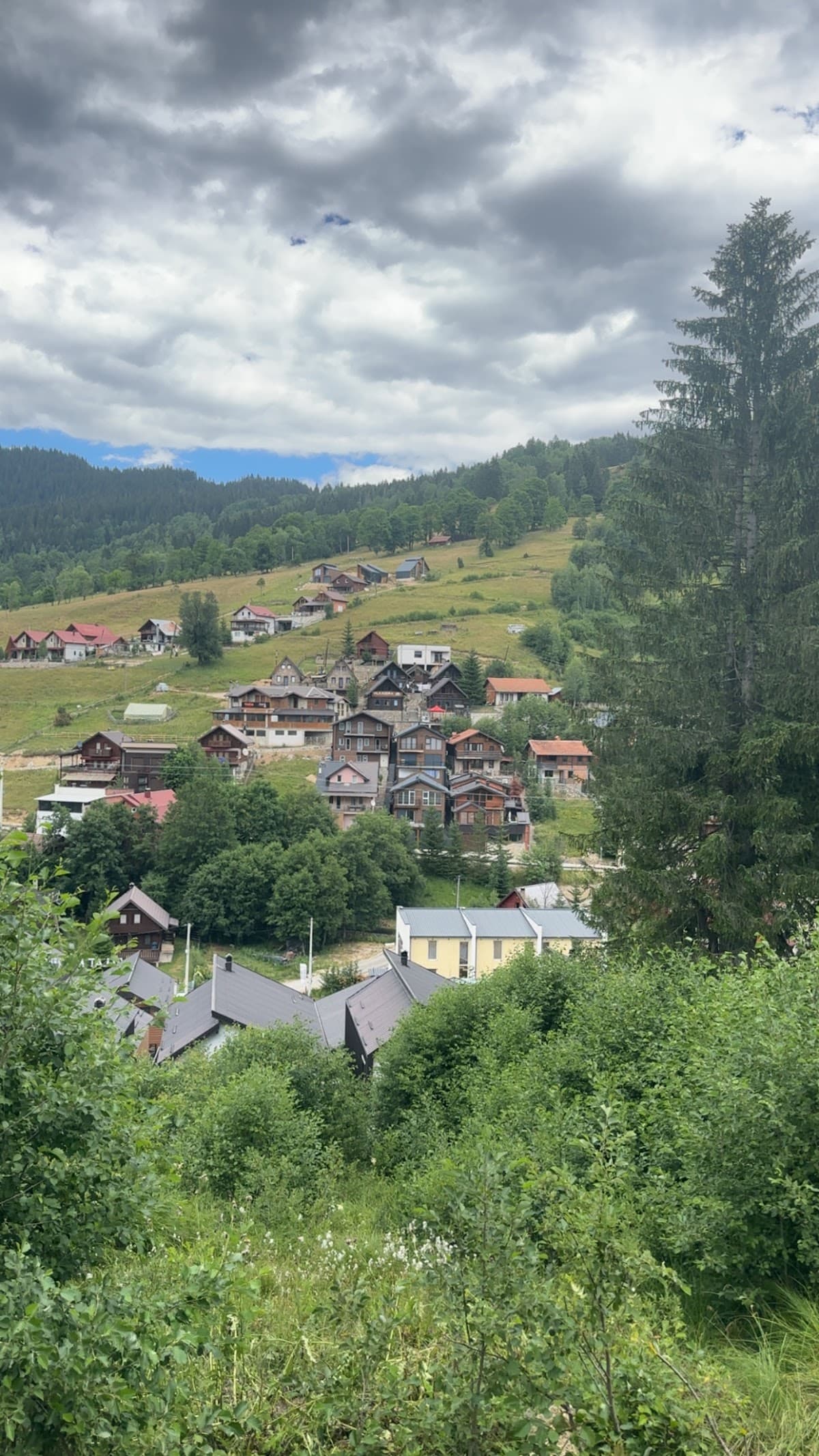 Villat Puhiza photo 4