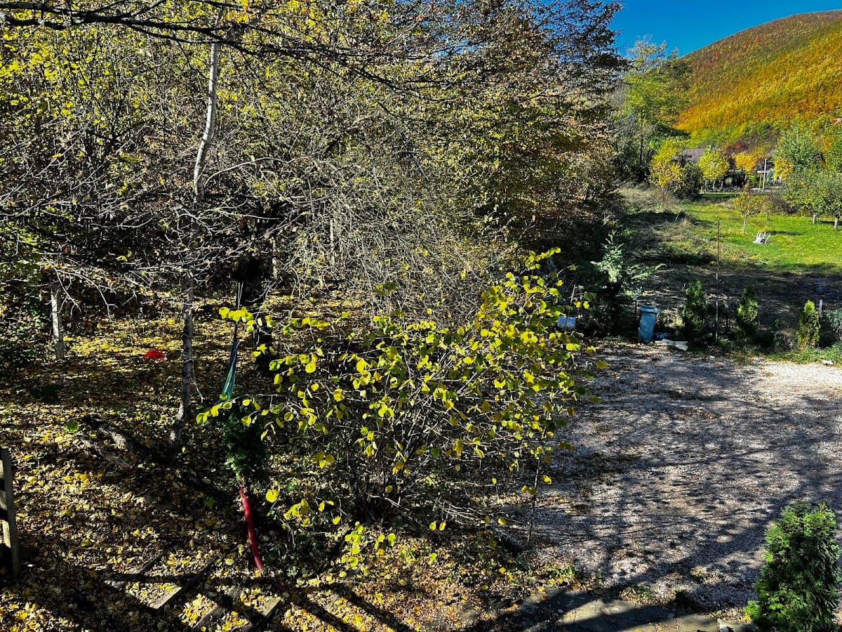 Camping Villa Treehouse Pleshine Ferizaj photo 4