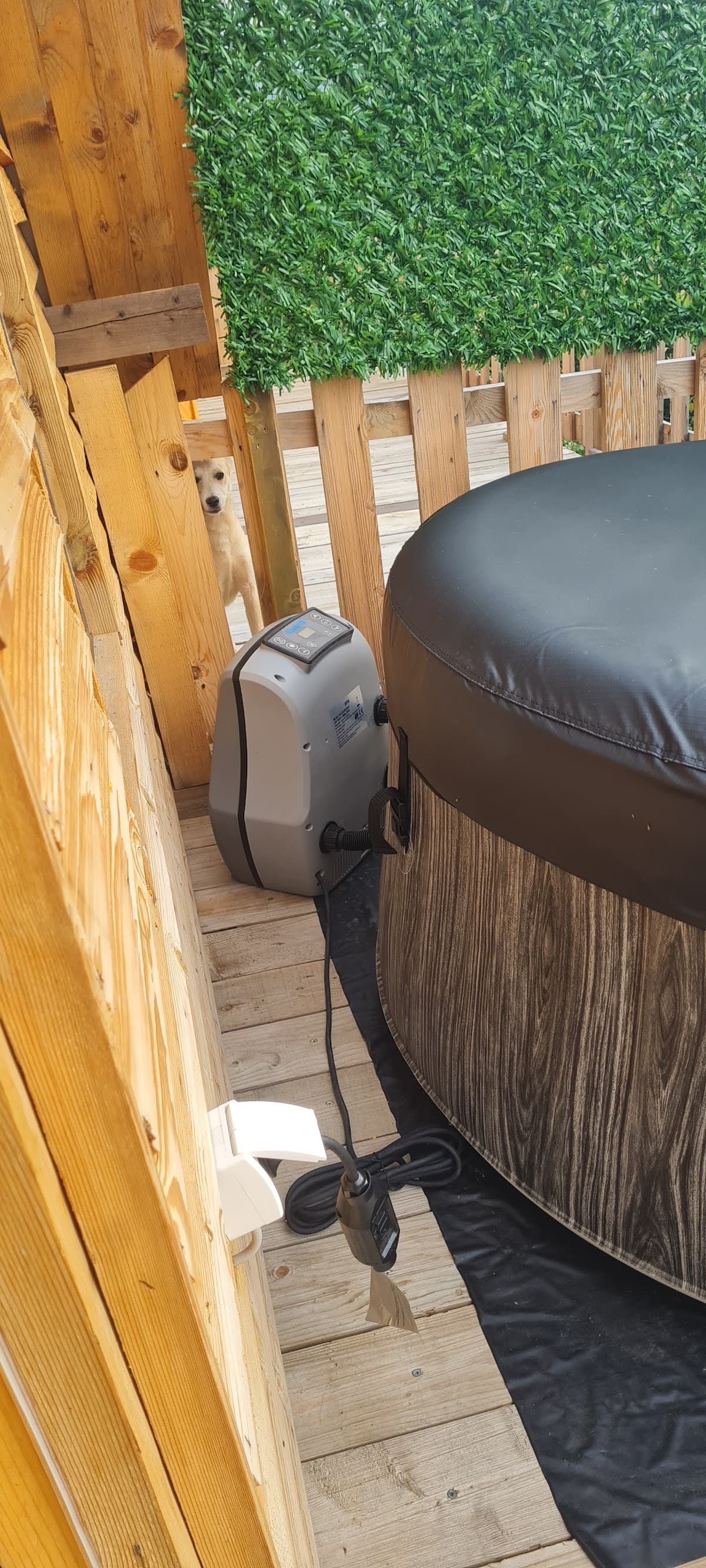 Villa Forest photo 3